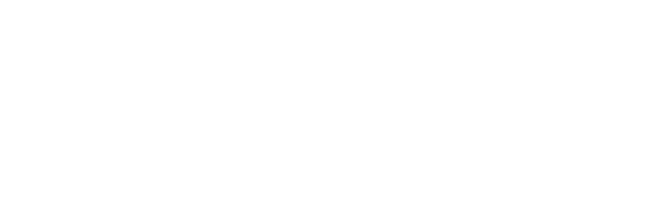 IVORY Dental Labor
